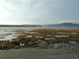 2012_07_07_028.JPG