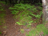 2012_07_08_042.JPG