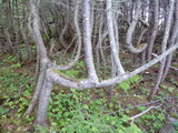 2012_07_08_056.JPG
