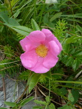 2012_07_08_078.JPG