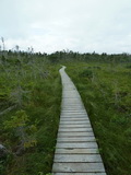 2012_07_08_082.JPG