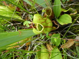 2012_07_08_101.JPG
