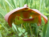 2012_07_08_105.JPG