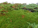 2012_07_08_145.JPG