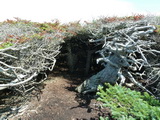 2012_07_08_157.JPG