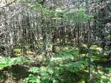 2012_07_08_161.JPG