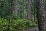 117_1728.JPG