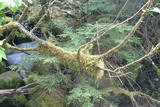 118_1864.JPG