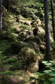 118_1882.JPG