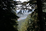 118_1896.JPG