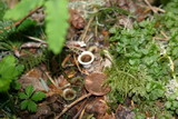 118_1899.JPG
