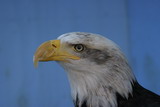 119_1907.JPG