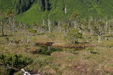 119_1935.JPG