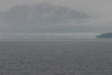 119_1979.JPG