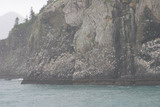 119_1996.JPG