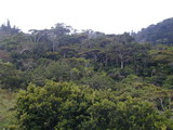 2002_07_17_012.JPG