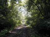 2002_07_27_006.JPG