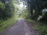 2002_08_05_001.JPG