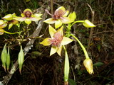2003_04_16_037.JPG