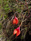2003_04_17_011.JPG
