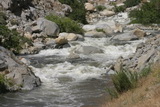 2008_06_04_003.JPG