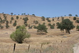 2008_06_06_017.JPG
