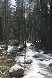 2008_06_06_033.JPG