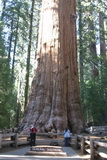 2008_06_06_044.JPG