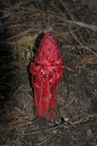 2008_06_06_061.JPG