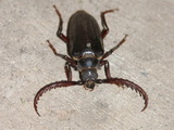 2008_06_08_002.JPG