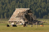 2008_06_09_075.JPG