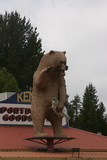 2008_06_10_041.JPG