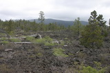 2008_06_10_052.JPG