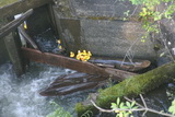 2008_06_14_057.JPG