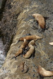 2008_06_18_030.JPG