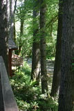 2008_06_19_002.JPG
