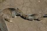 2008_06_20_046.JPG