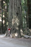 2008_06_20_048.JPG