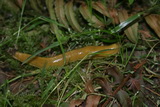 2008_06_21_003.JPG