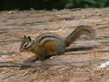 2008_06_21_018.JPG