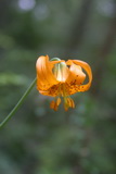 2008_06_21_026.JPG