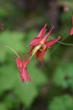 2008_06_21_028.JPG