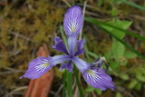 2008_06_21_031.JPG