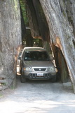 2008_06_22_011.JPG