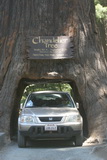 2008_06_22_028.JPG