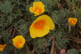 2008_06_23_024.JPG