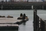 2008_06_23_054.JPG