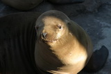 2008_06_24_039.JPG