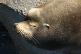 2008_06_24_059.JPG