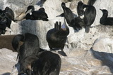 2008_06_24_062.JPG
